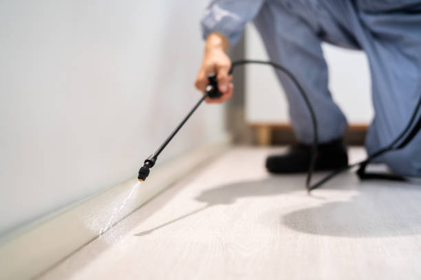 Licensed Mosquito Control service in Libertyville, IL - Show Me Pest Control