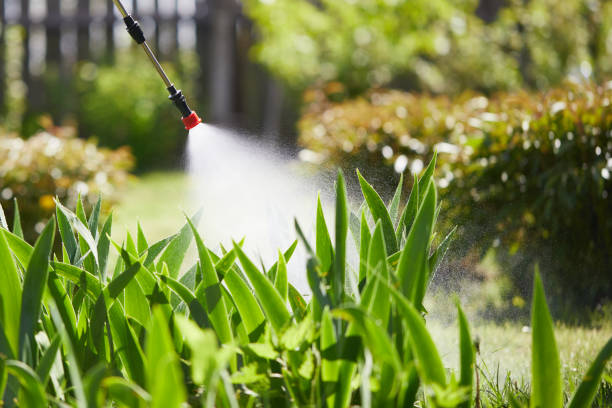 24/7 Emergency Mosquito Control experts in Libertyville, IL