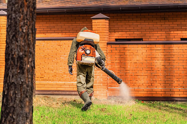 Top rated local Mosquito Control specialists in Libertyville, IL